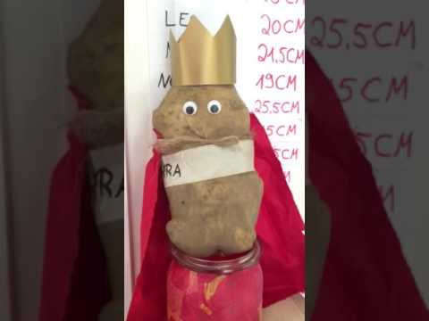  Foto zu Lied vom Kartoffelkönig im Kindergarten - YouTube 