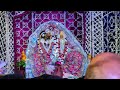 मेरो प्यारों बरसाना लाइव | Radha Rani Mandir Sandhya Aarti Barsana Live