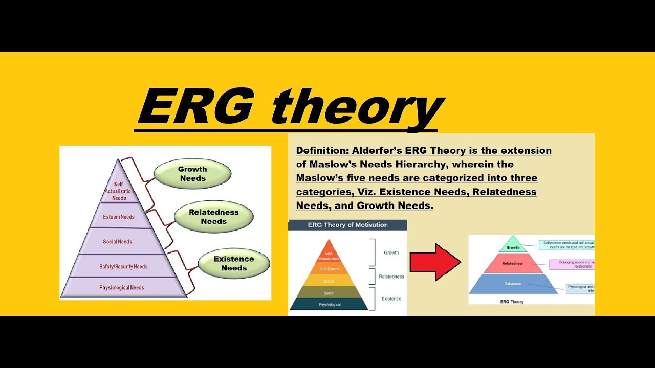 case study on erg theory