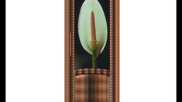 How to Make 3D Door in AutoCAD 2015 by Faisal Shah (AutoCAD)