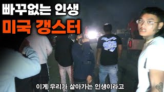 미국의 암덩어리? &quot;갱스터 조직&quot; 혼자 찾아가기 끝판왕 [모아보기] - 미국🇺🇲