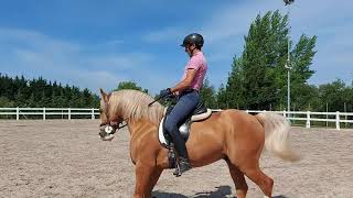 WAR 🐎 AND BERNARD BARRACHINA 1/5