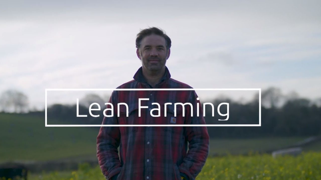 Why adopt Lean Business Management?