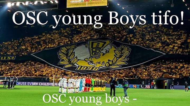 Young Boys tifo against Atalanta! BSC young boys - Atalanta!