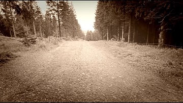 Take the long Way home