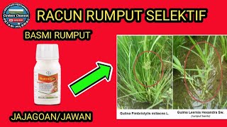 Review Herbisida Rumpas 110 EW || racun rumput selektif