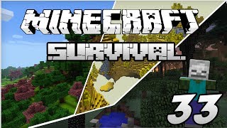 Minecraft: Lets Play Ep. 33 - Scepter of Life Drainer!