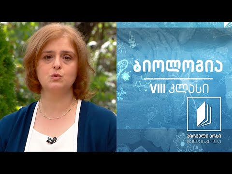 ბიოლოგია, VIII კლასი - ადამიანის ჩონჩხის აგებულება და ფუნქციები #ტელესკოლა