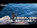高知県沖ノ島海域 名礁二並島の巨大尾長グレ【G WORLD #20】