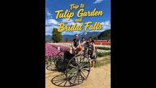 A vibrant display of millions of tulips and multi-tiered waterfall resembling a bridal veil.