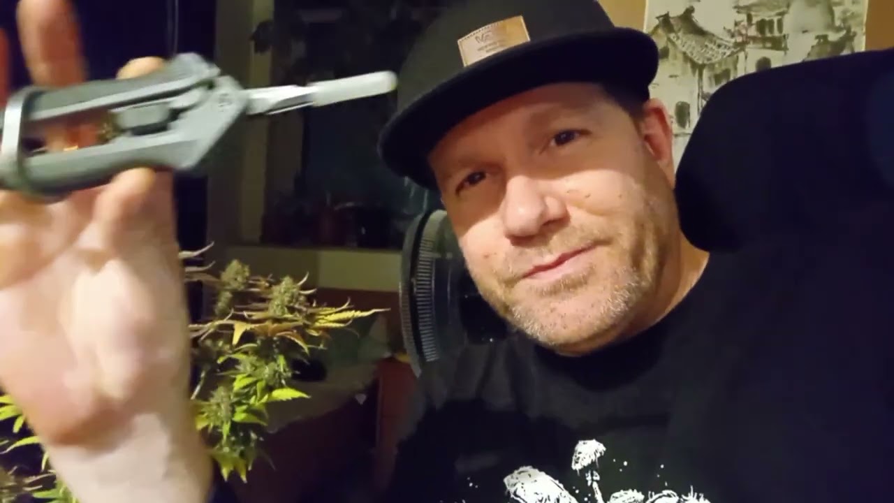 My Most Beautiful Plant To Date! Tropicana Cookies Harvest x Fast Buds Genetics - Grow Vlogs S3 ep.4