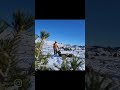 Elk Drag Downhill