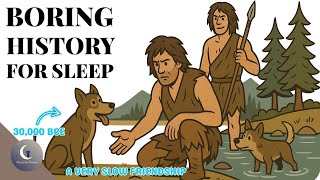 How Wolves Became Dogs — The Mutual Evolution We Never Noticed 30.000–10.000 BCE  sleep from history