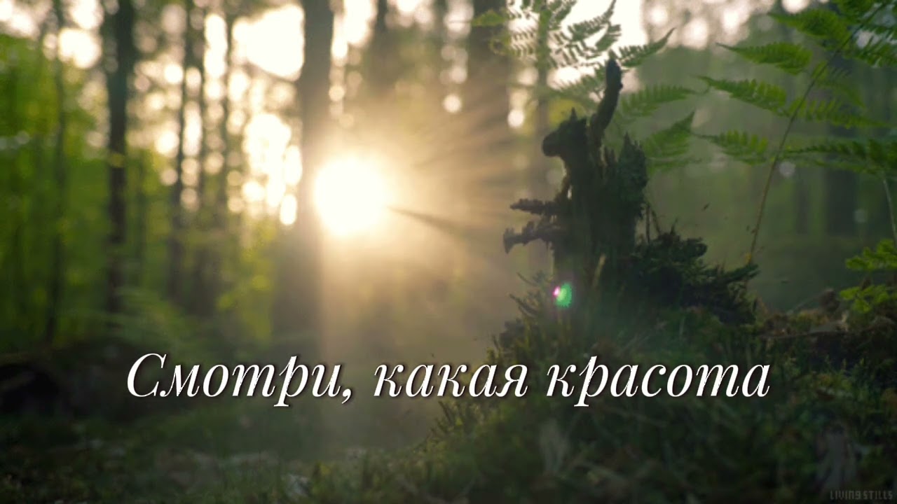 Смотри, какая красота