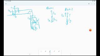 Celebrity AP Physics 1 Unit 2 Mastery Project Net Worth