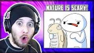 Nature Is Scary - Reacting To Harry The Moth