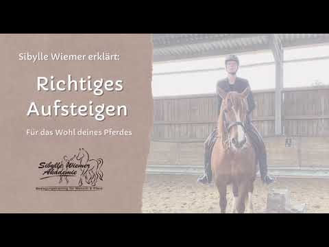 Richtig Aufsteigen - gutes Reiten beginnt schon beim Aufsteigen