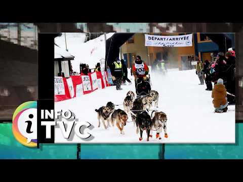 240 km en traineau à chien - 2026-03-20