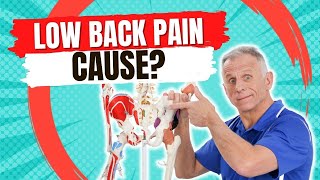 What Causes Low Back Pain In Females