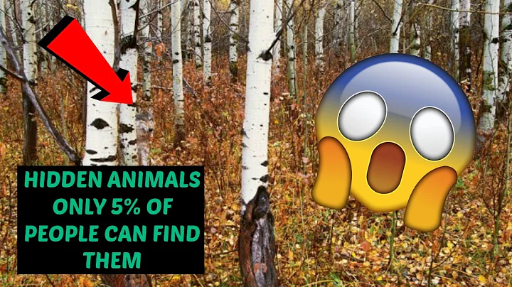 CAN YOU FIND THE HIDDEN ANIMAL - ONLY 5% OF PEOPLE CAN