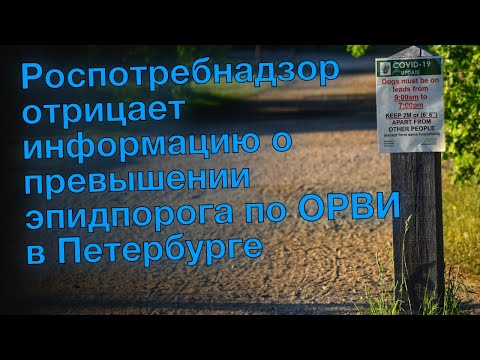 Роспотребнадзор отрицает информацию о превышении эпидпорога по ОРВИ в Петербурге