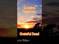 Sunshine Daydream Grateful Dead (6/12/1976) #sunset