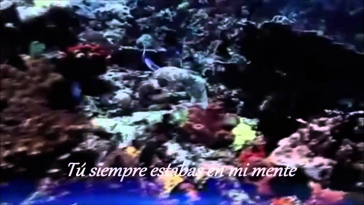 Elvis Presley -Always On My Mind (Remastered Version) (siempre en mi