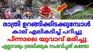 Video Download