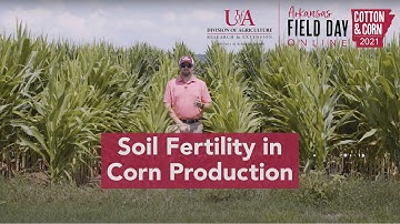 Soil Fertility in Corn Production: Flooding, Potash and Drone Research (2021 Ark. Field Day)