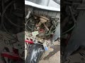 passion B S 6 headlight wiring