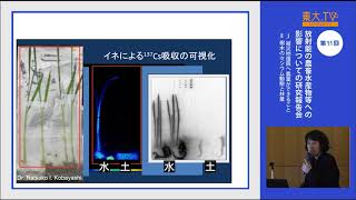 中西友子「農学生命科学研究科の取り組みについて」ー第11回 放射能の農畜水産物等への影響についての研究報告会