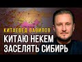 Китаю некем заселять Сибирь, Китай войдет в Афганистан, биткоин против Греты Байден, Н.Вавилов