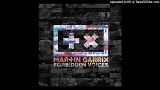 Martin Garrix - Forbidden Voices [] Resimi