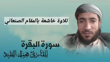 سورة البقرة | للقارئ الشيخ محمد الفقيه بالمقام الصنعاني