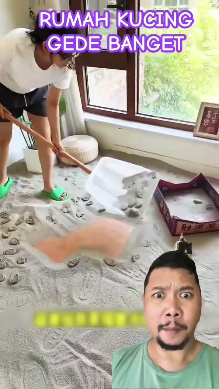 RUMAH KUCINGYA GEDE BANGET YA!!?? #funny #cat #catlover #pets #shortsvideo