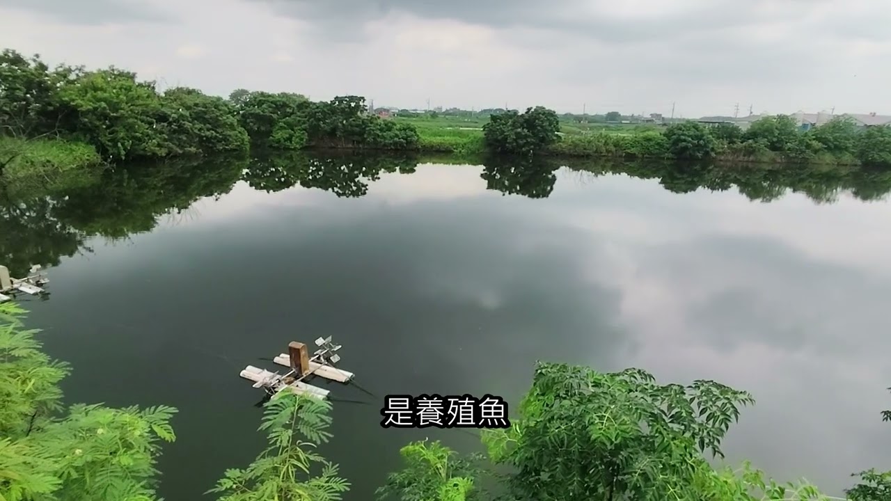 👍養殖為本綠能加值👍雲林政府推動漁電共生計劃👍已有魚塭養殖登記每坪3100元有水有電有工寮大面寬地形方正4米路旁土地3529坪產權路權清楚💲投資自用皆宜📍近口湖遊客中心0977188512傅晏棠房地產 縮圖