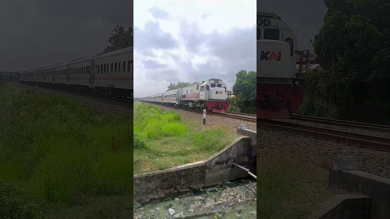 The joglosemarkerto to busy railroad crossing 