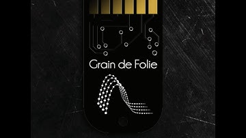 TipTop Audio: Grain de Folie Z-DSP card demo