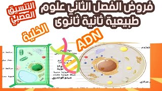 فروض الفصل الثاني علوم طبيعية ثانية ثانوى علوم تجريبية وملخص شامل الخلية و ADN