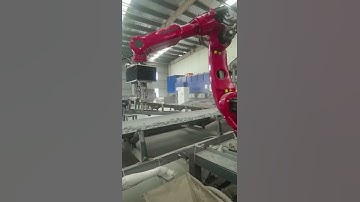 👏🤖Automatic sorting of foreign objects by robot on ore conveyor belt🦾#roboticarm  #industrialrobots