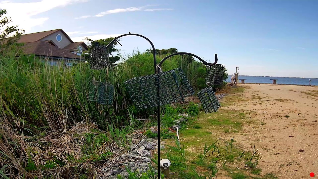 Broadway Avenue, Somers Point Birdfeeder Cam Looking UP/West live camera thumbnail