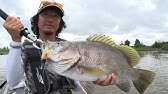 212 Part1 悠久の大河 中国長江に躍る怪魚の影 黄色い頬のモンスター ガンユイを追う Youtube 212 Part1 悠久の大河 中国長江に躍る怪魚の影 黄色い頬のモンスター ガンユイを追う Youtube