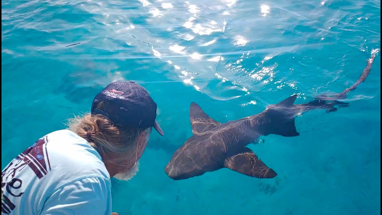 Mr. Sharkey pays us a visit in Warderick Wells, Bahamas. Episode 4