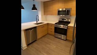 Renovated 1 Bed 1 Bath