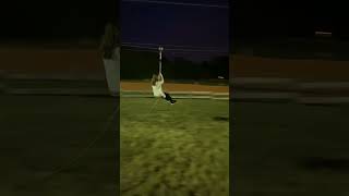 Little boy runs into girl riding Zipline and lands on grass