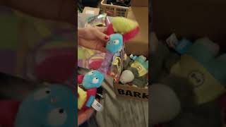 Bark Box Unboxing June 2019
