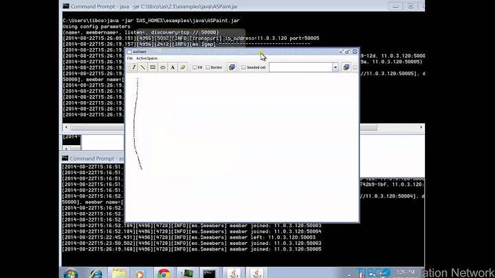 Run and Analyze the ASPaint Example - TIBCO ActiveSpaces v2.x