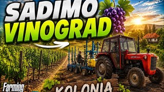 SADIMO VINOGRAD🍇 | kolonia ep3