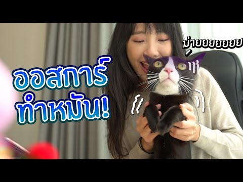 ออสการ์อายุไม่ถึงปี ทำหมันแล้ว !?