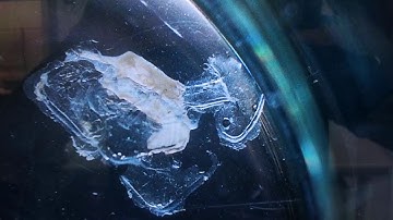 Bricolage - Video Documentation